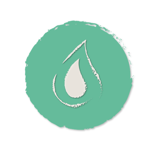 Evolve icon