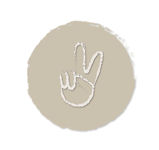 Protect Peace icon